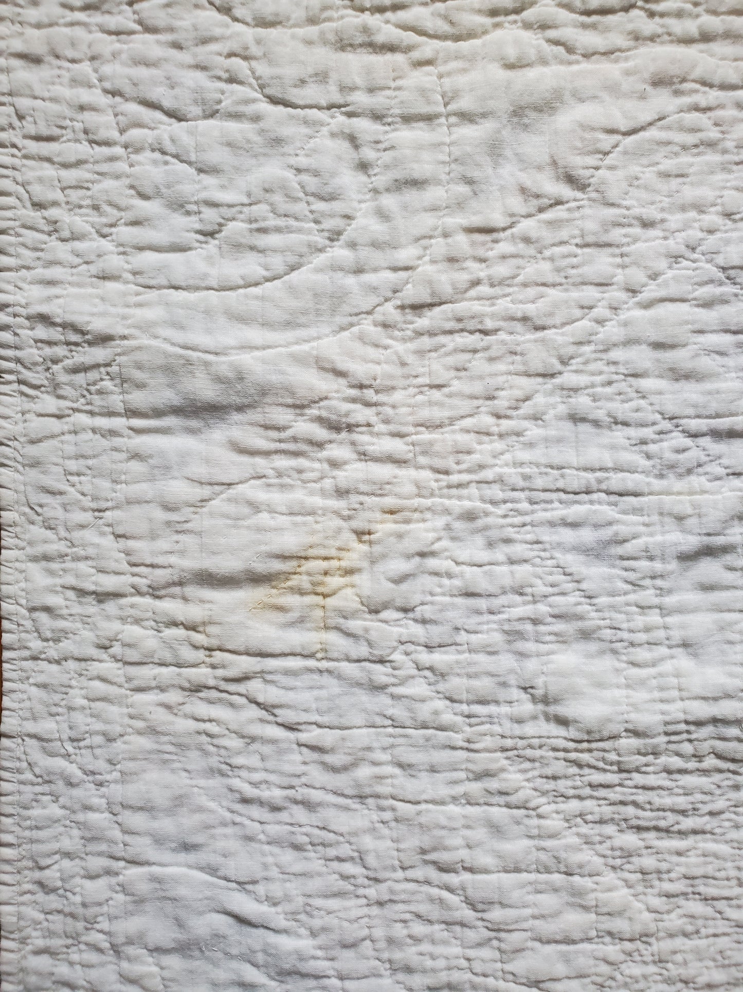Vintage Lily Quilt 1929