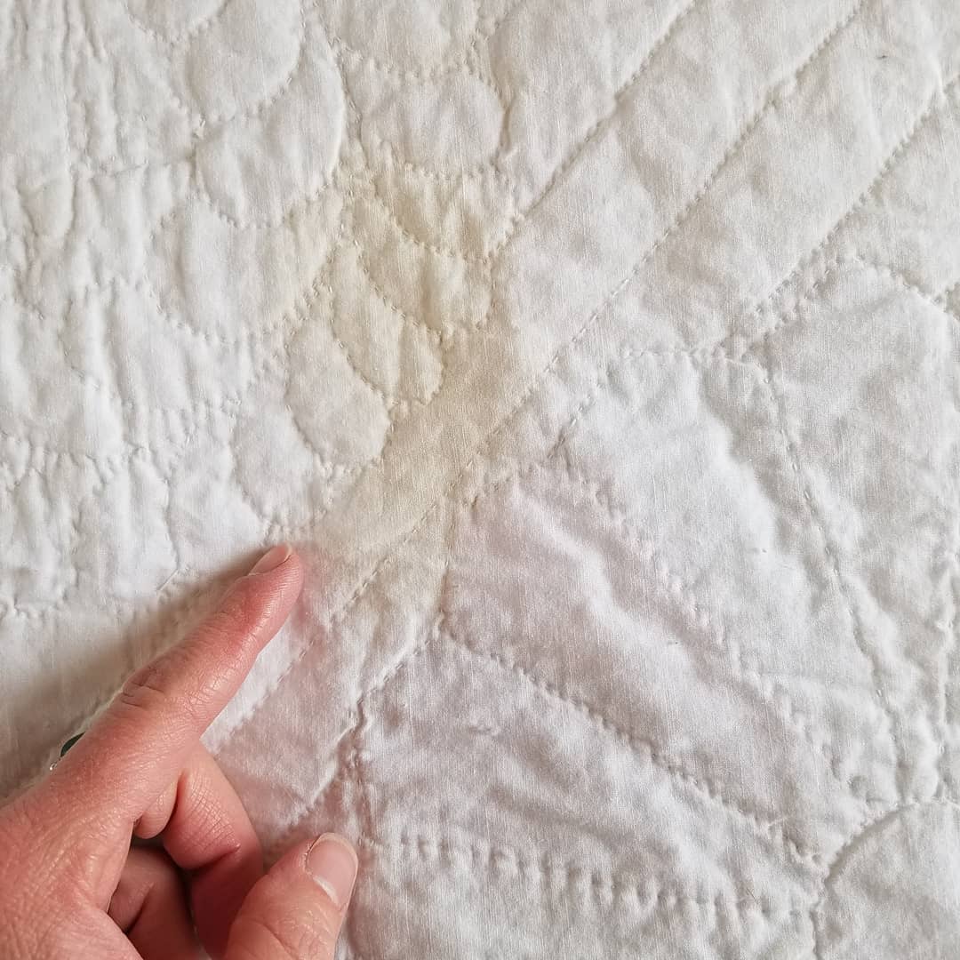 Dresden Plate Quilt 2
