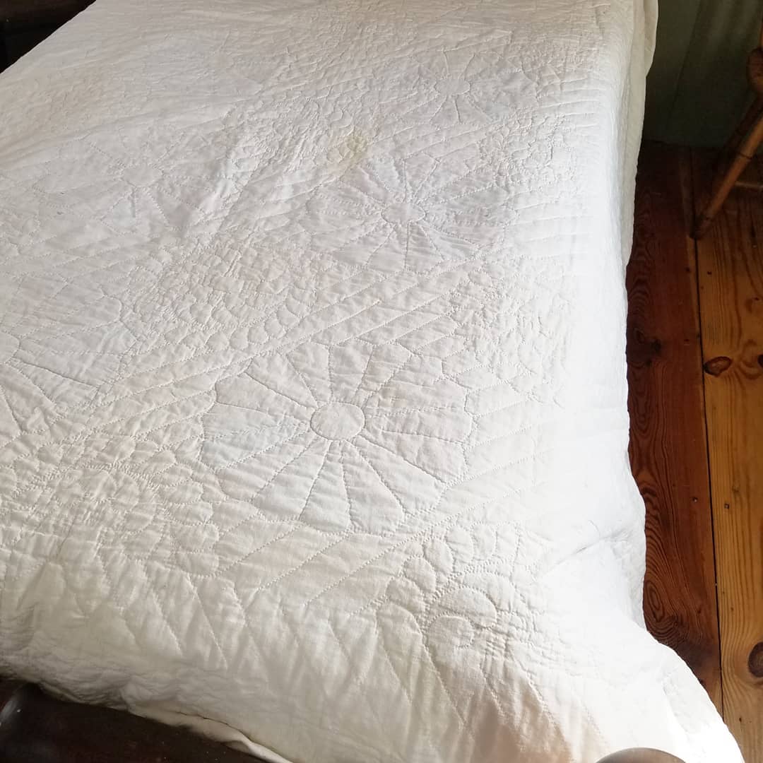 Dresden Plate Quilt 2