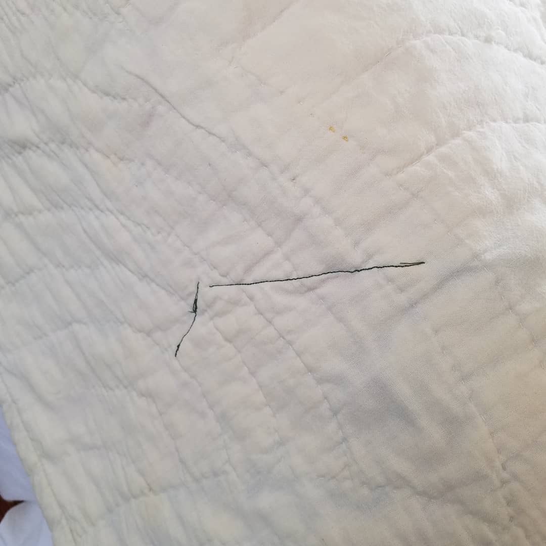 Feed Sack Star Quilt 2