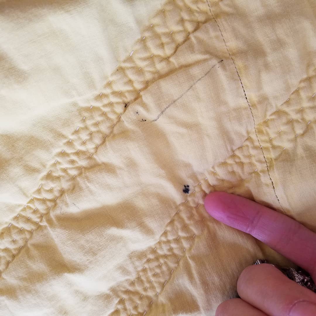 Grandmother's Garden Quilt 3