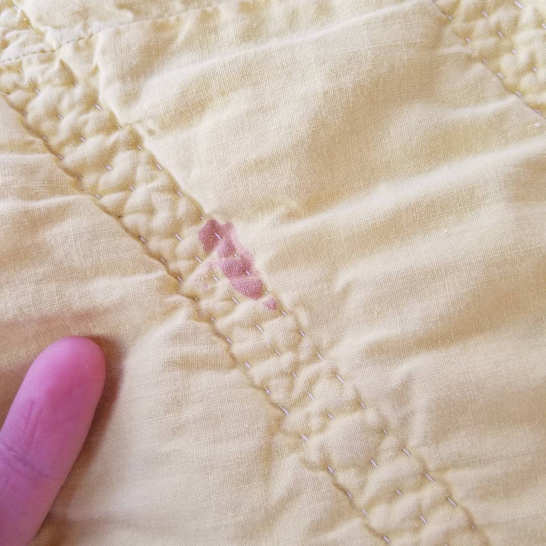 Grandmother's Garden Quilt 3