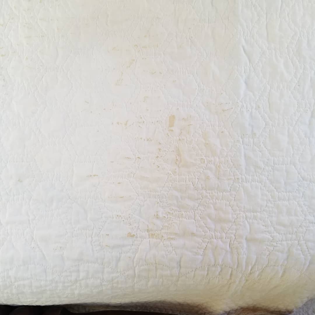 Grandmother's Garden Quilt 2
