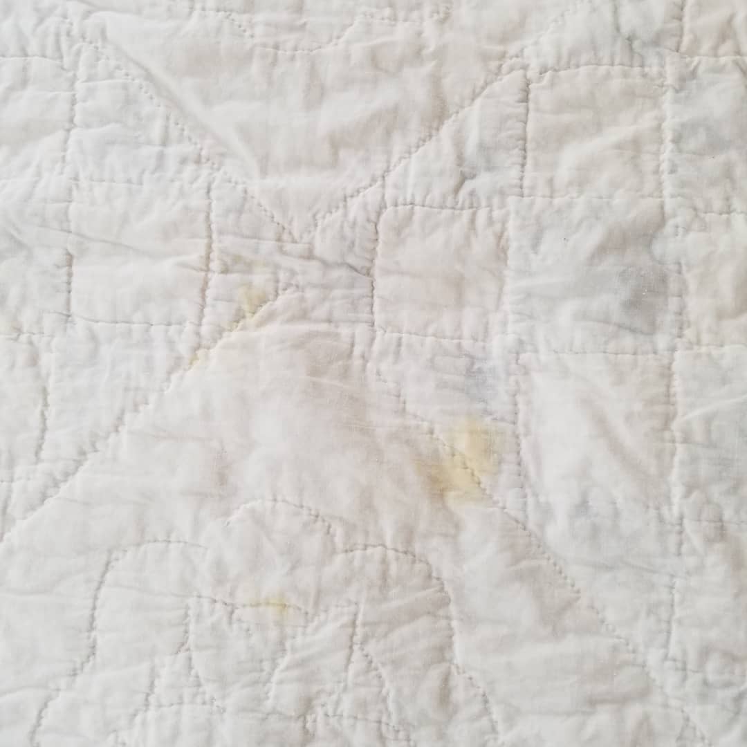 Indigo and White Quilt 2