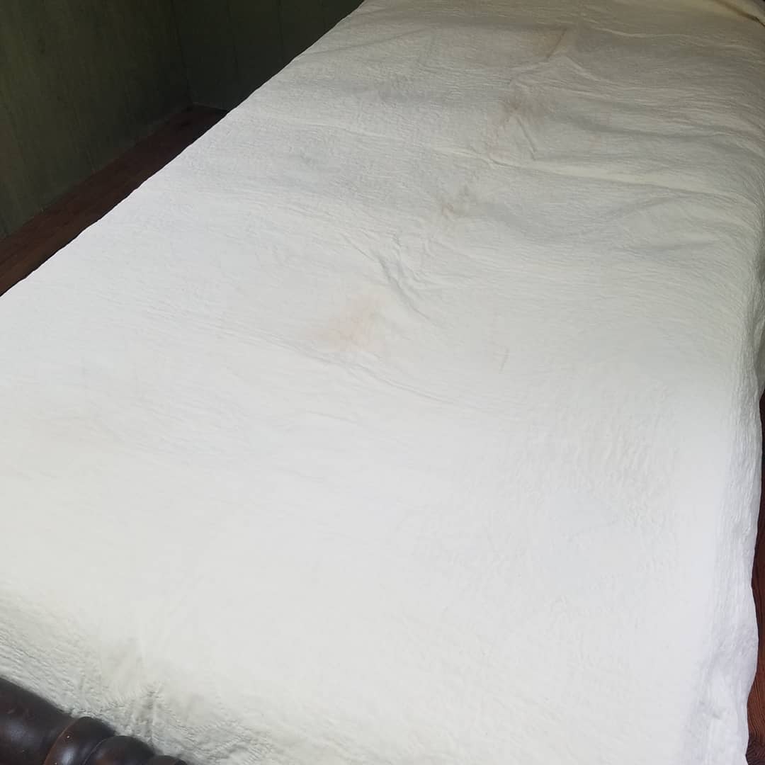 Double Wedding Ring Quilt 4