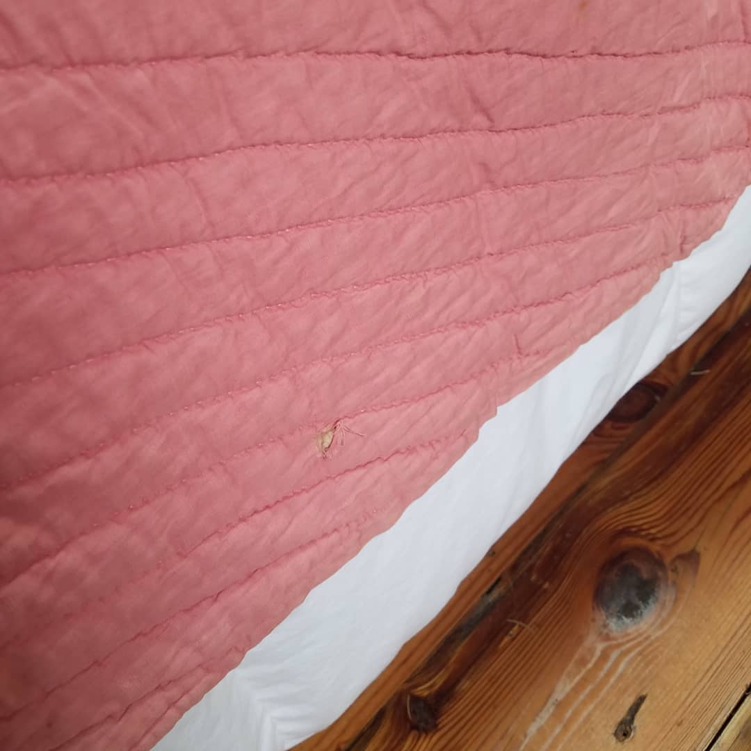 Incredible Star Quilt