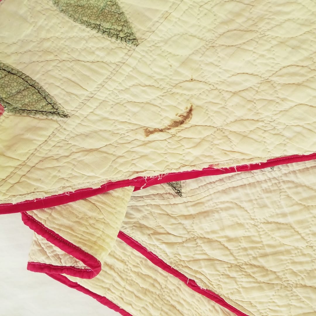 Turkey Tracks or Wandering Foot Quilt