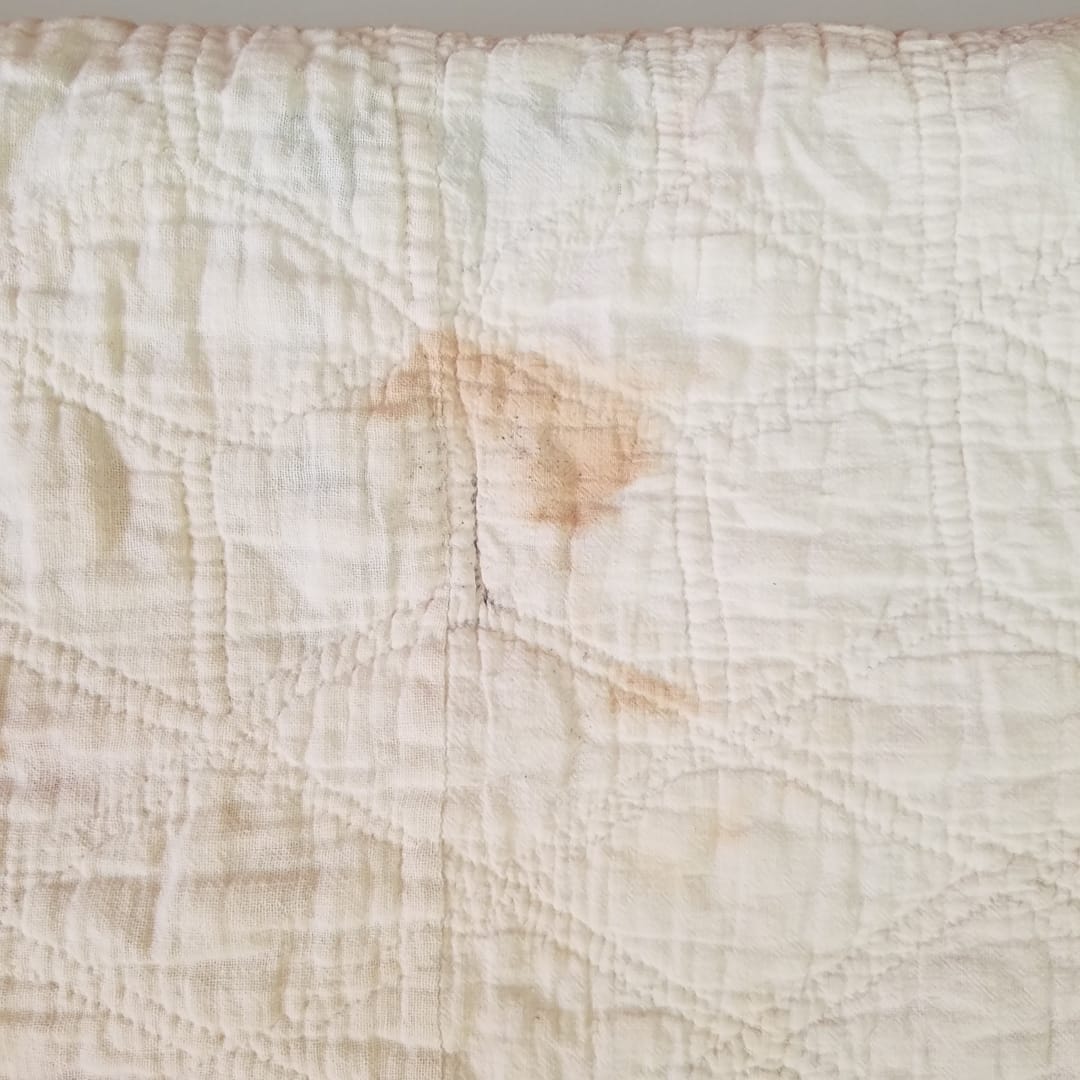 Feed Sack Cherry Quilt