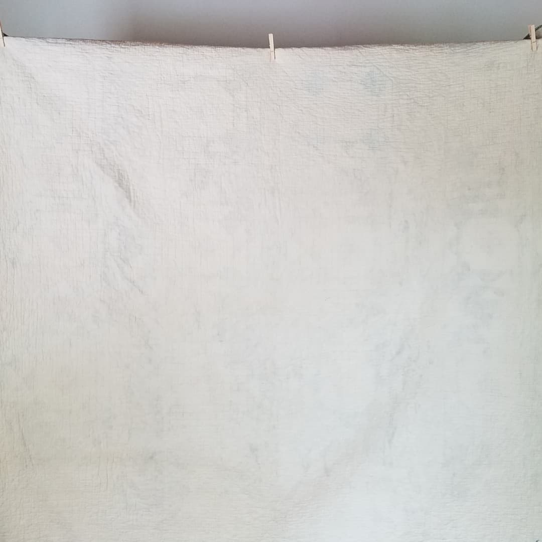 Indigo Crown of Thorns Quilt
