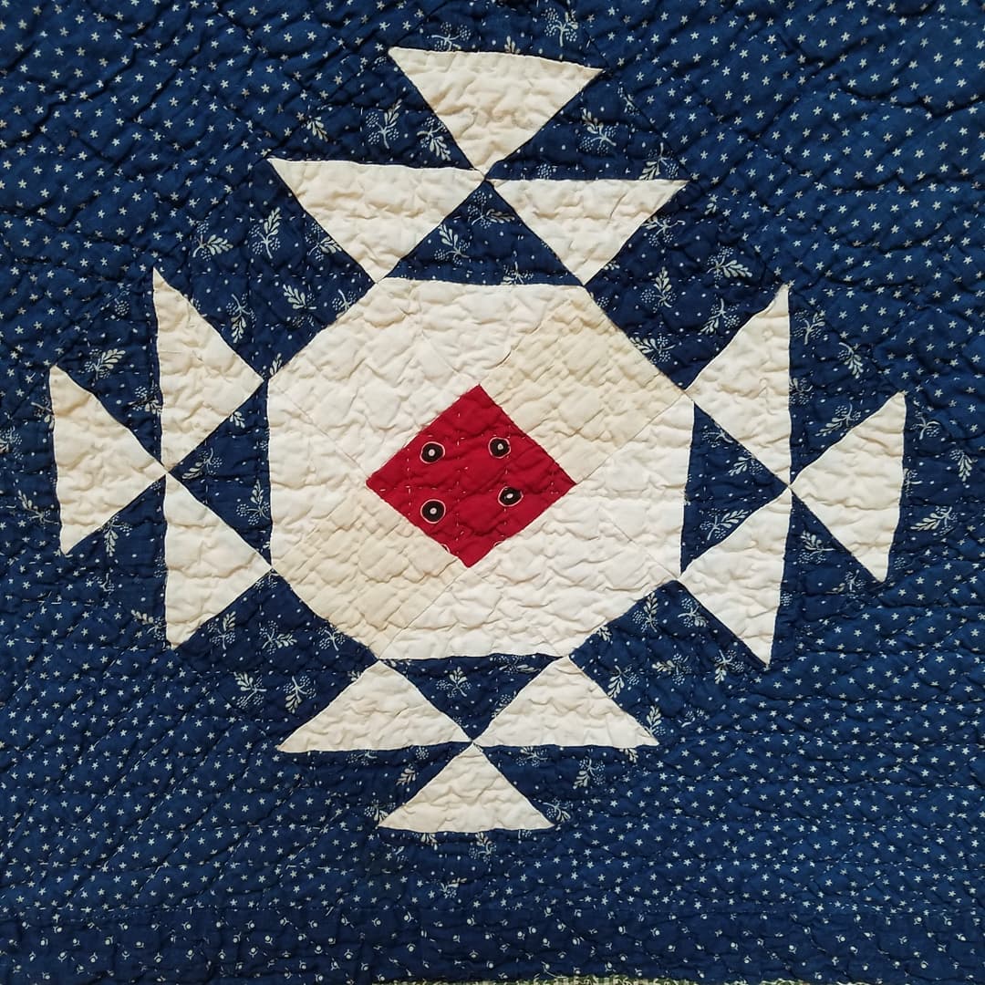 Indigo Crown of Thorns Quilt
