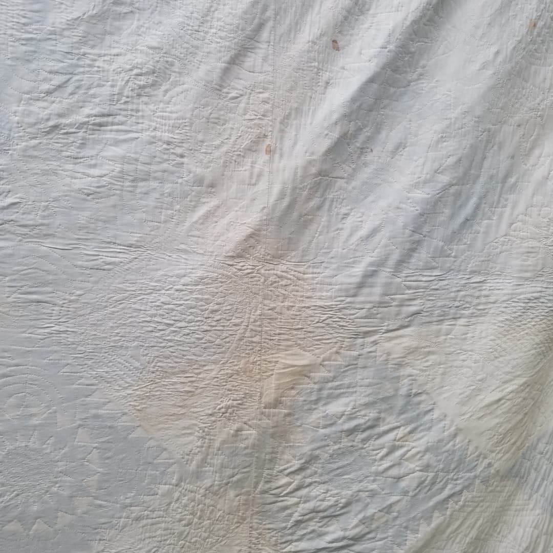 19th Century Green and Cream Sunflower Quilted Coverlet