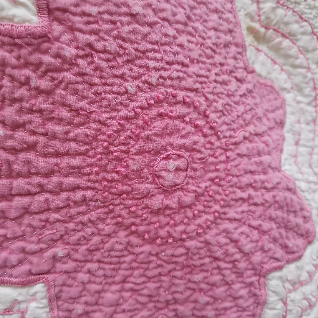 Pink Applique and Embroidered Quilt