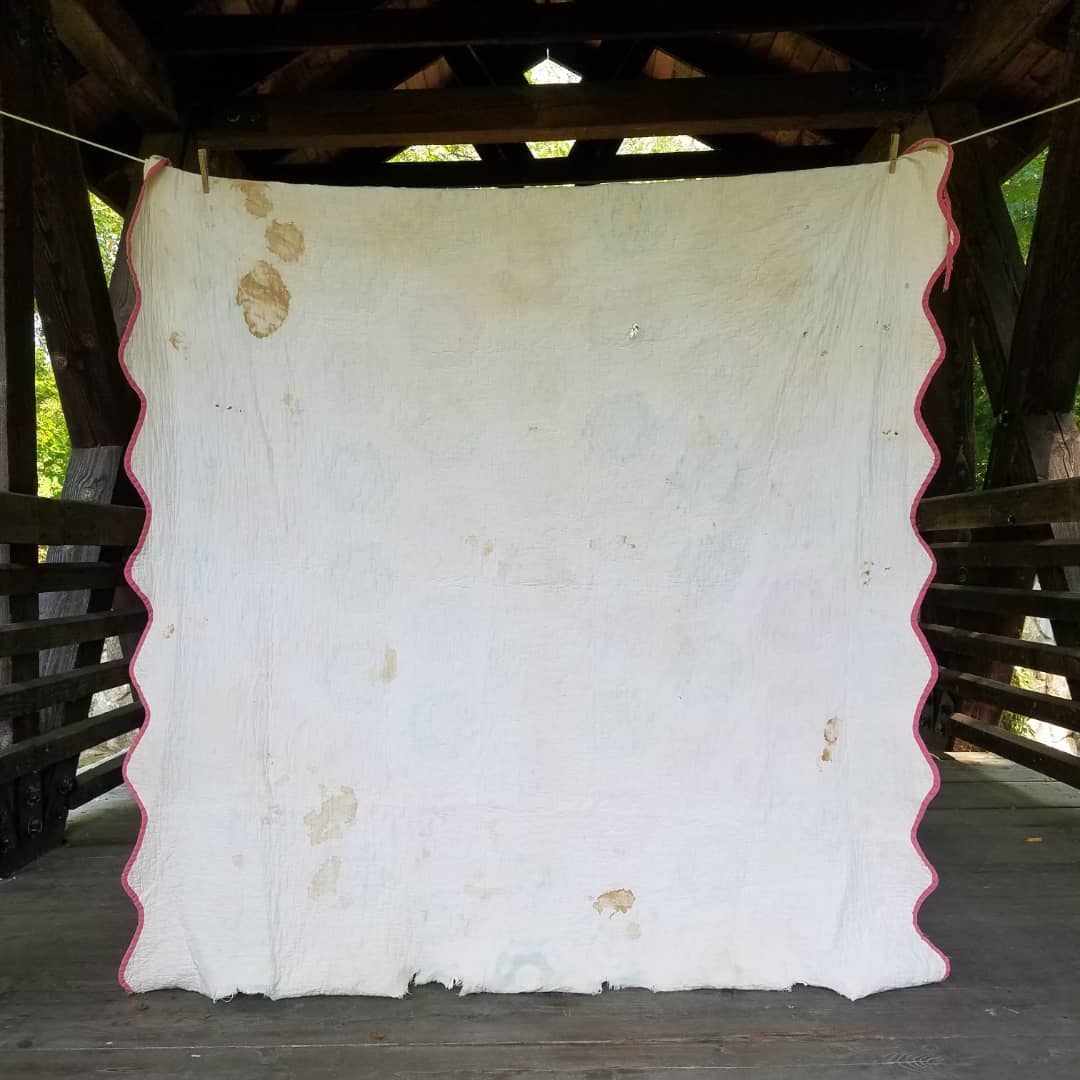 Grandmother's Garden Quilt