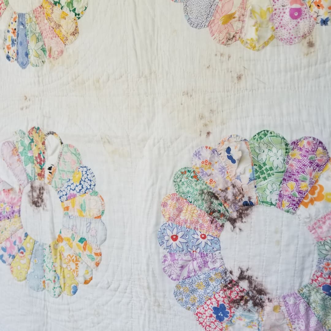 Dresden Plate/Friendship Ring Quilt