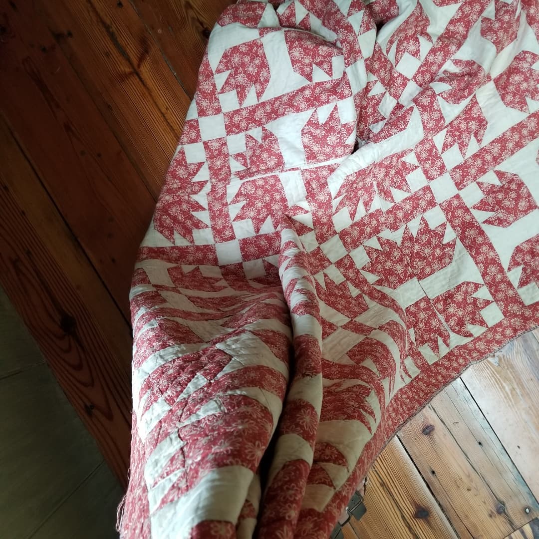 Bear Paw Quilt
