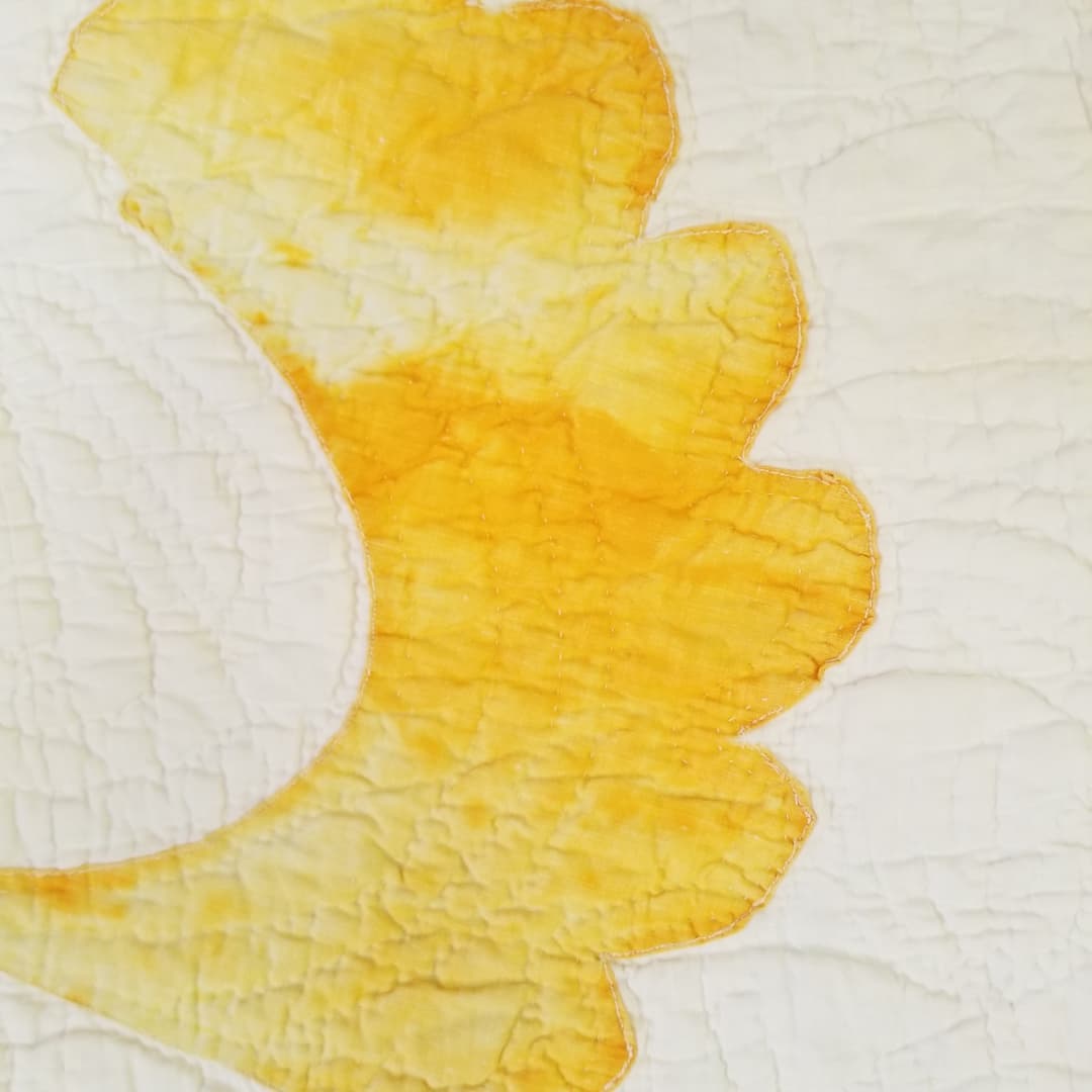 Primitive Feather Quilt