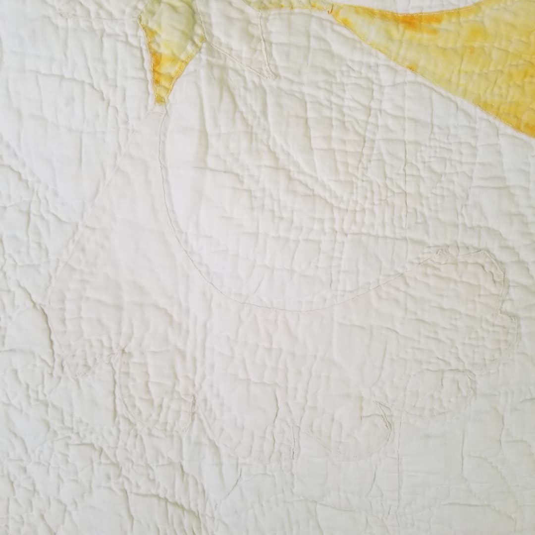 Primitive Feather Quilt