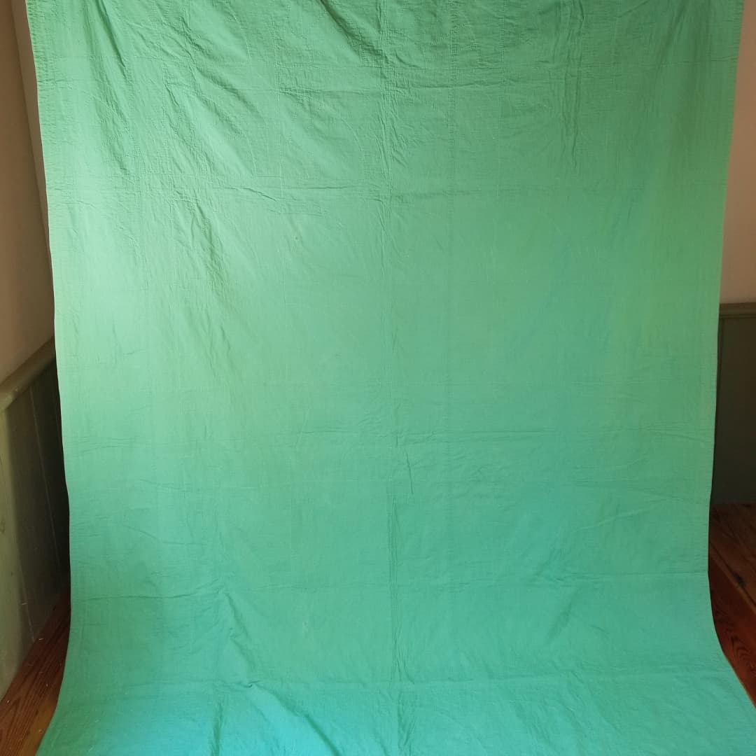 Summer Weight Fans Quilt