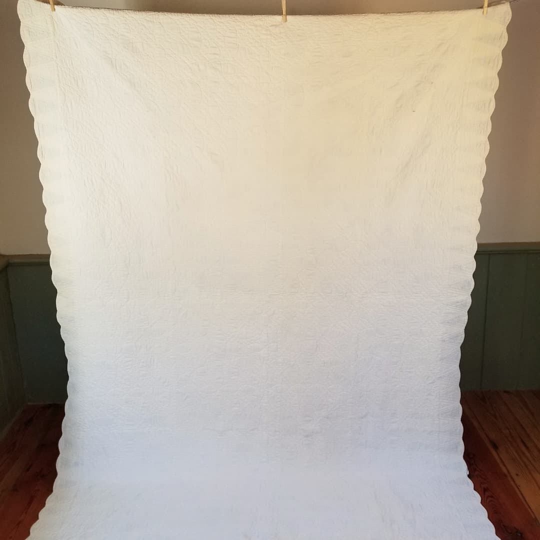 Blue and White Applique Quilt