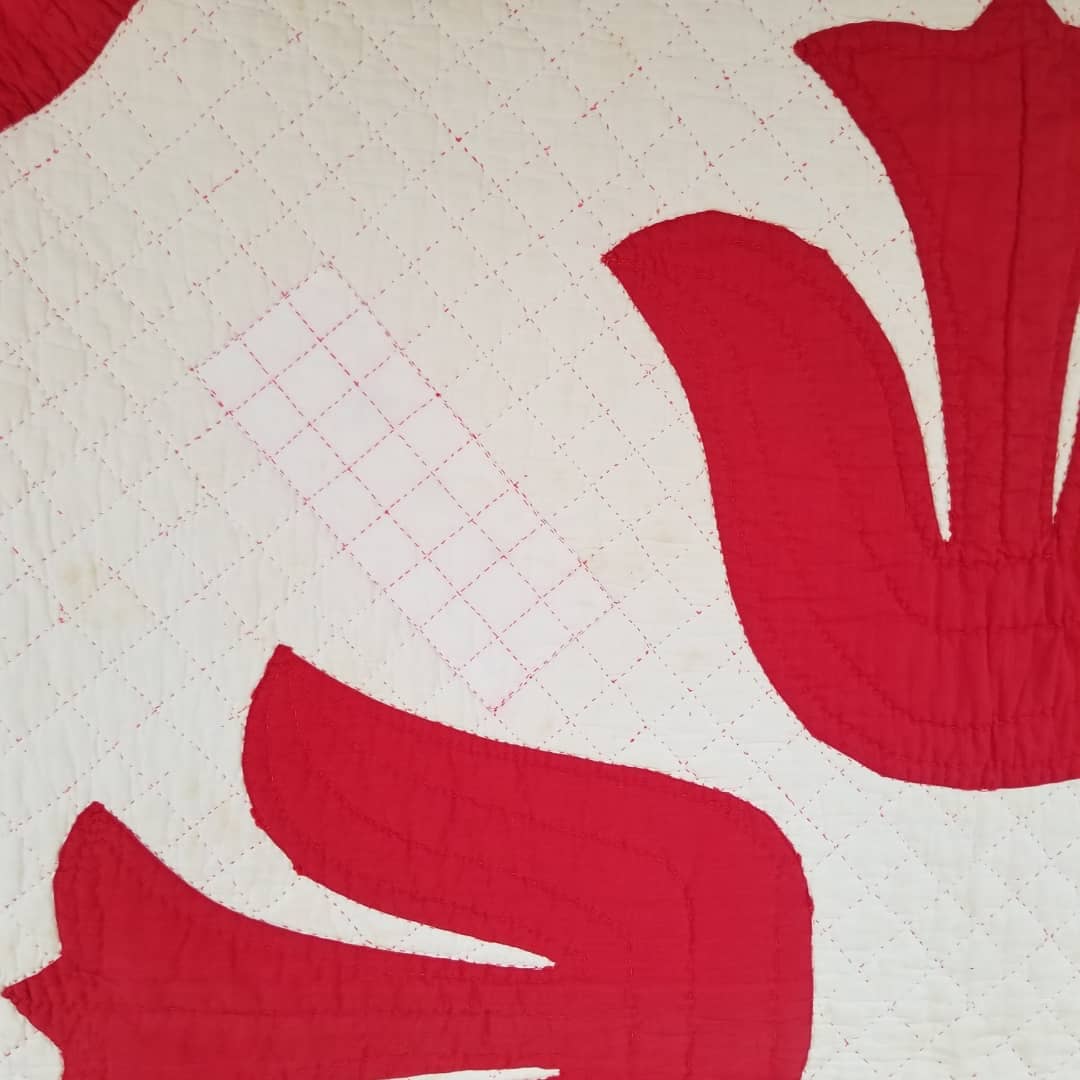 Red and White Tulip Applique Quilt
