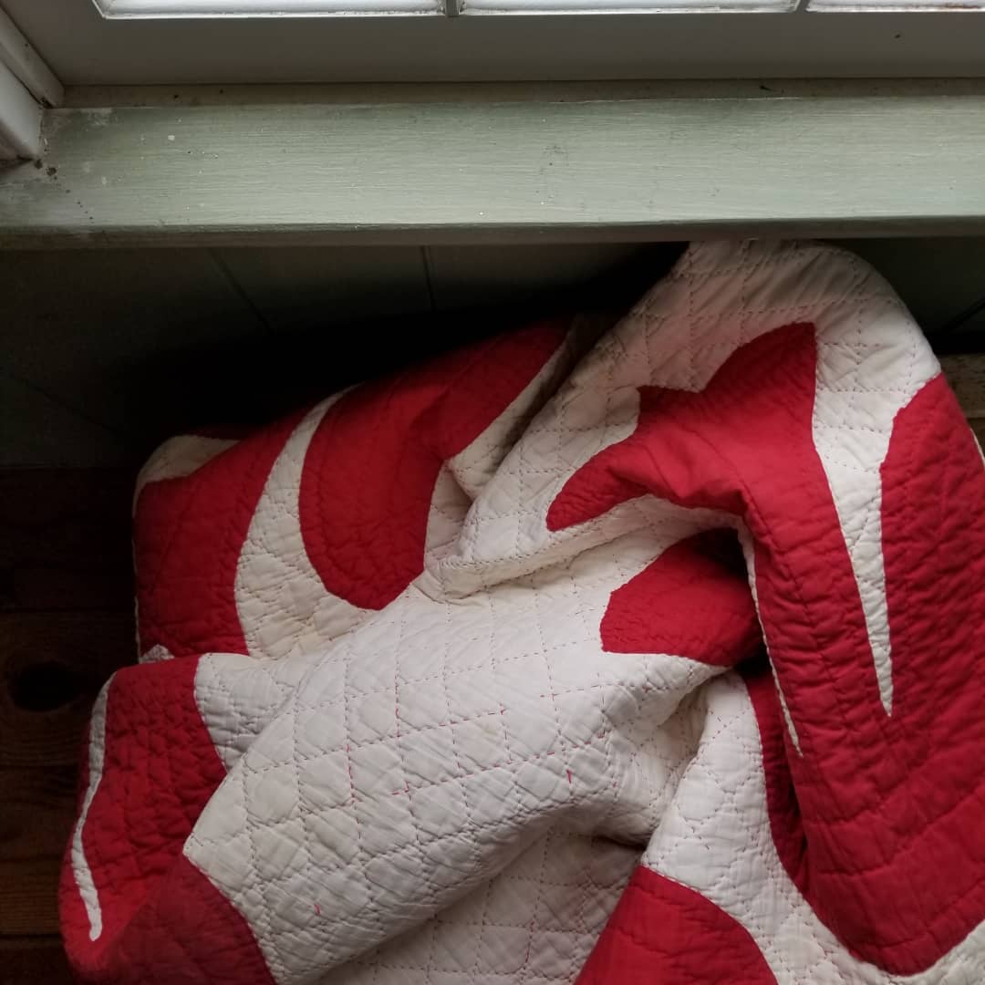 Red and White Tulip Applique Quilt
