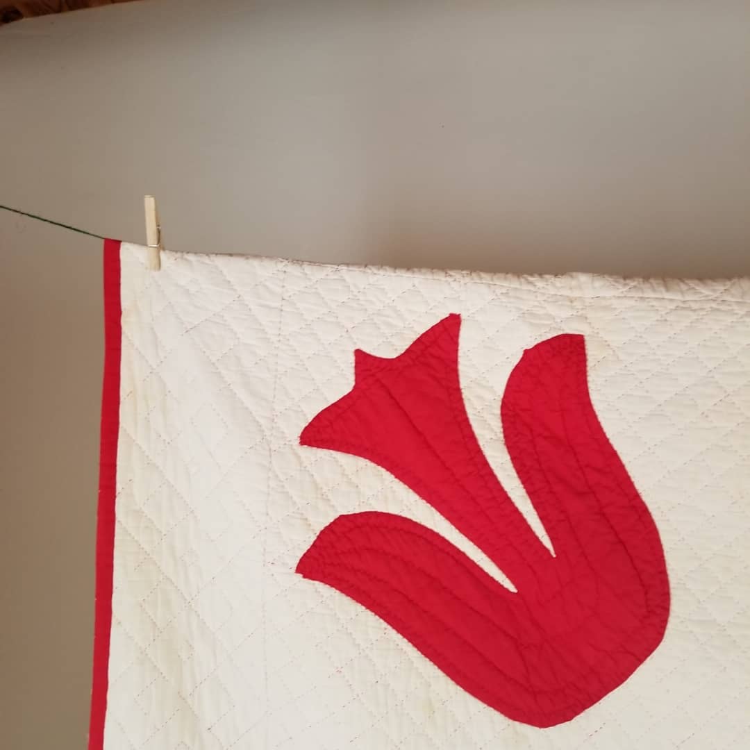 Red and White Tulip Applique Quilt