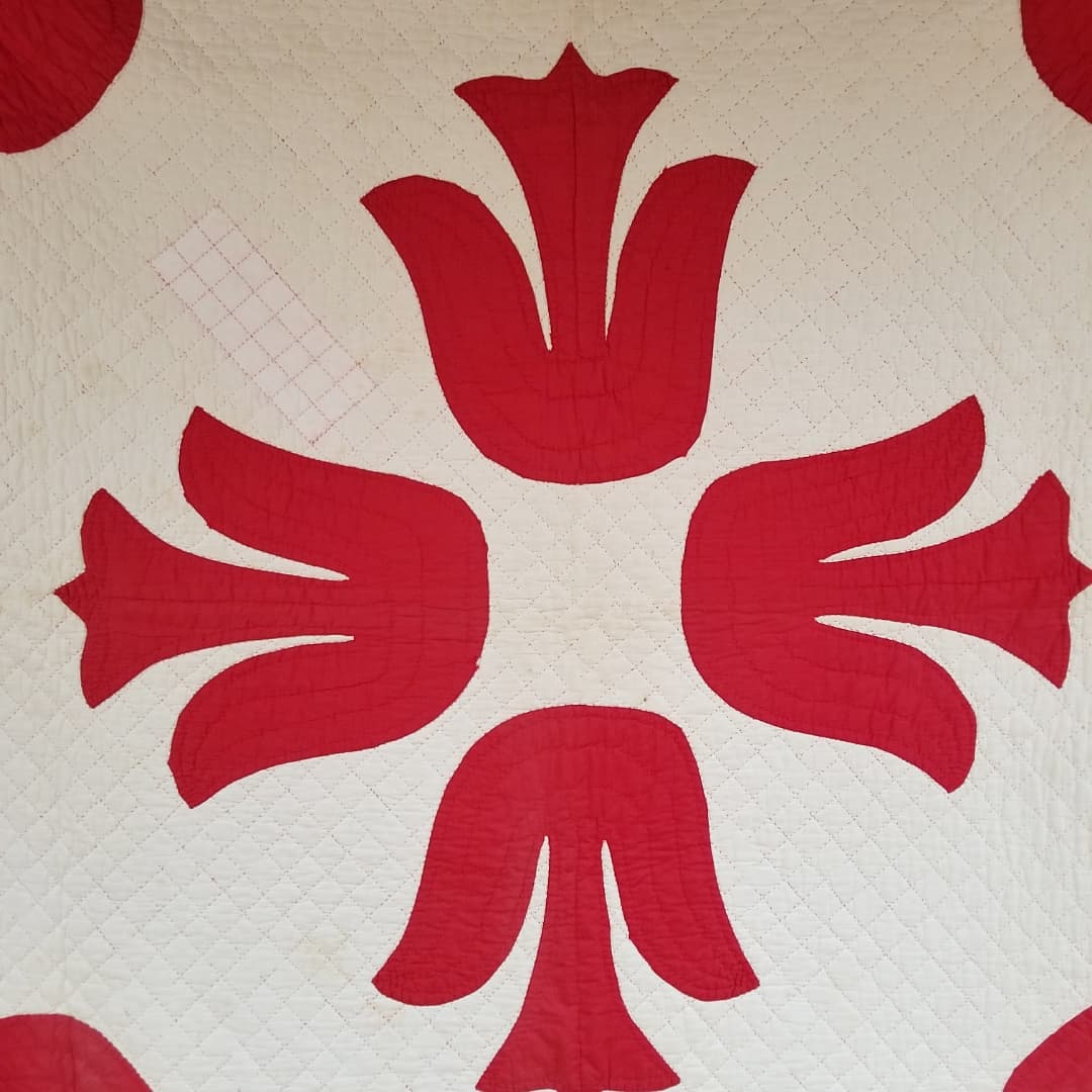 Red and White Tulip Applique Quilt