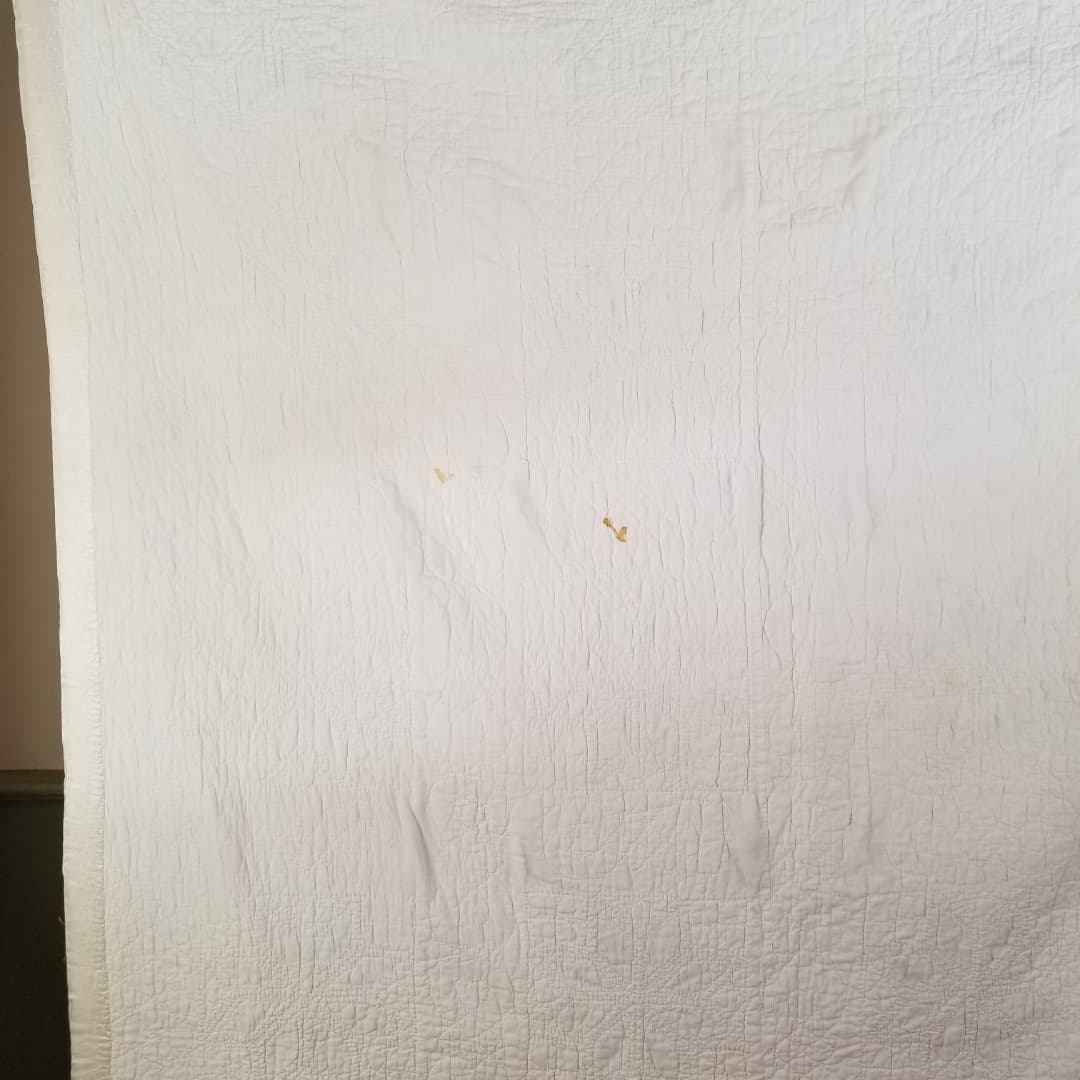 Floral 8pt Star Quilt