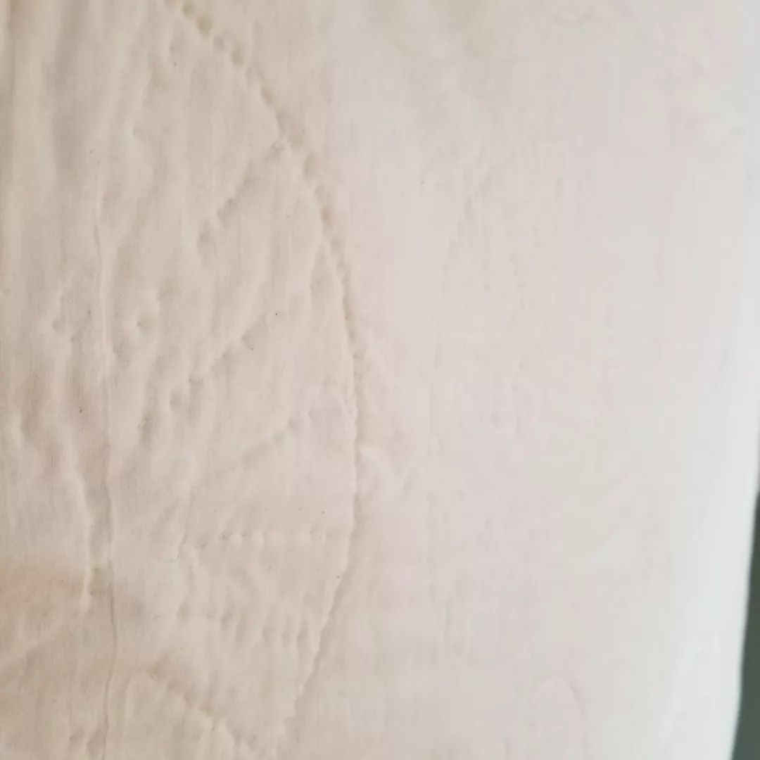 Pink & Vanilla Dresden Plate Quilt