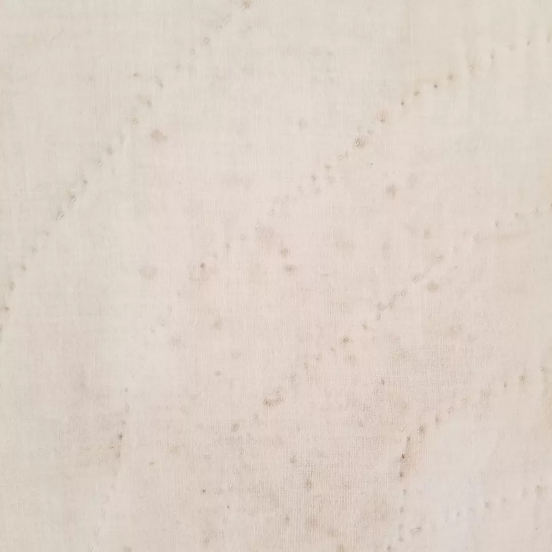 Dolly Madison's Star Quilt