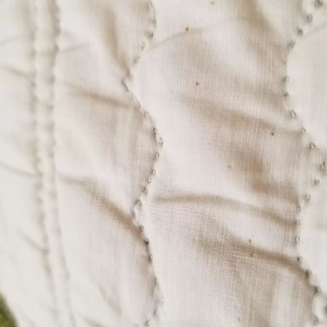Rose Applique Quilt 2