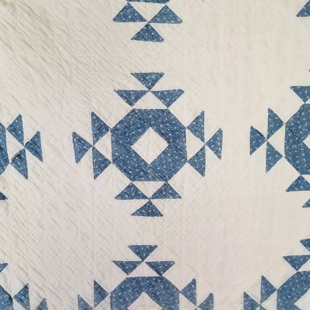 Blue & White Crown of Thorns