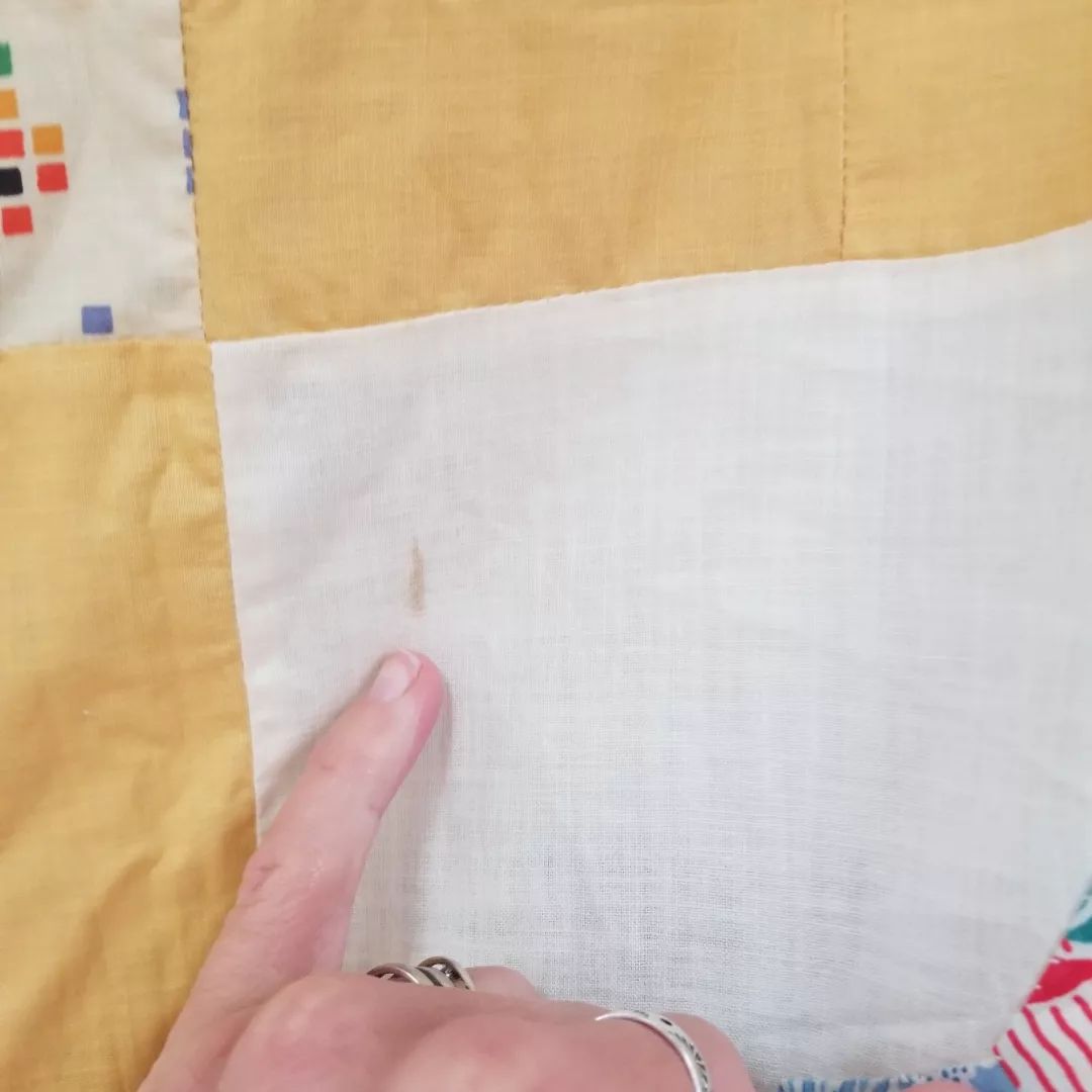 Dresden Plate Quilt TOP 4