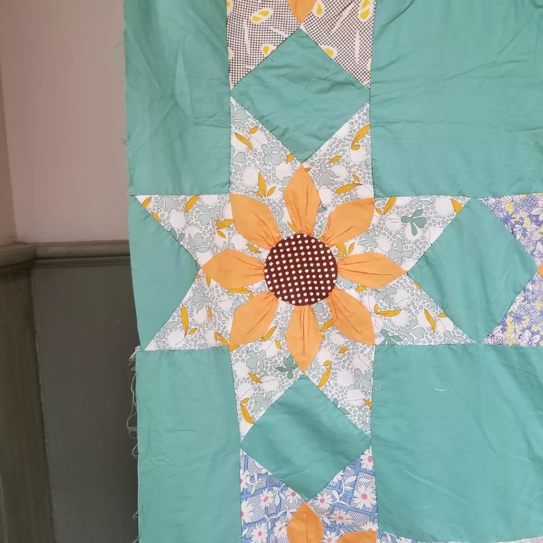 Missouri Daisy Quilt TOP