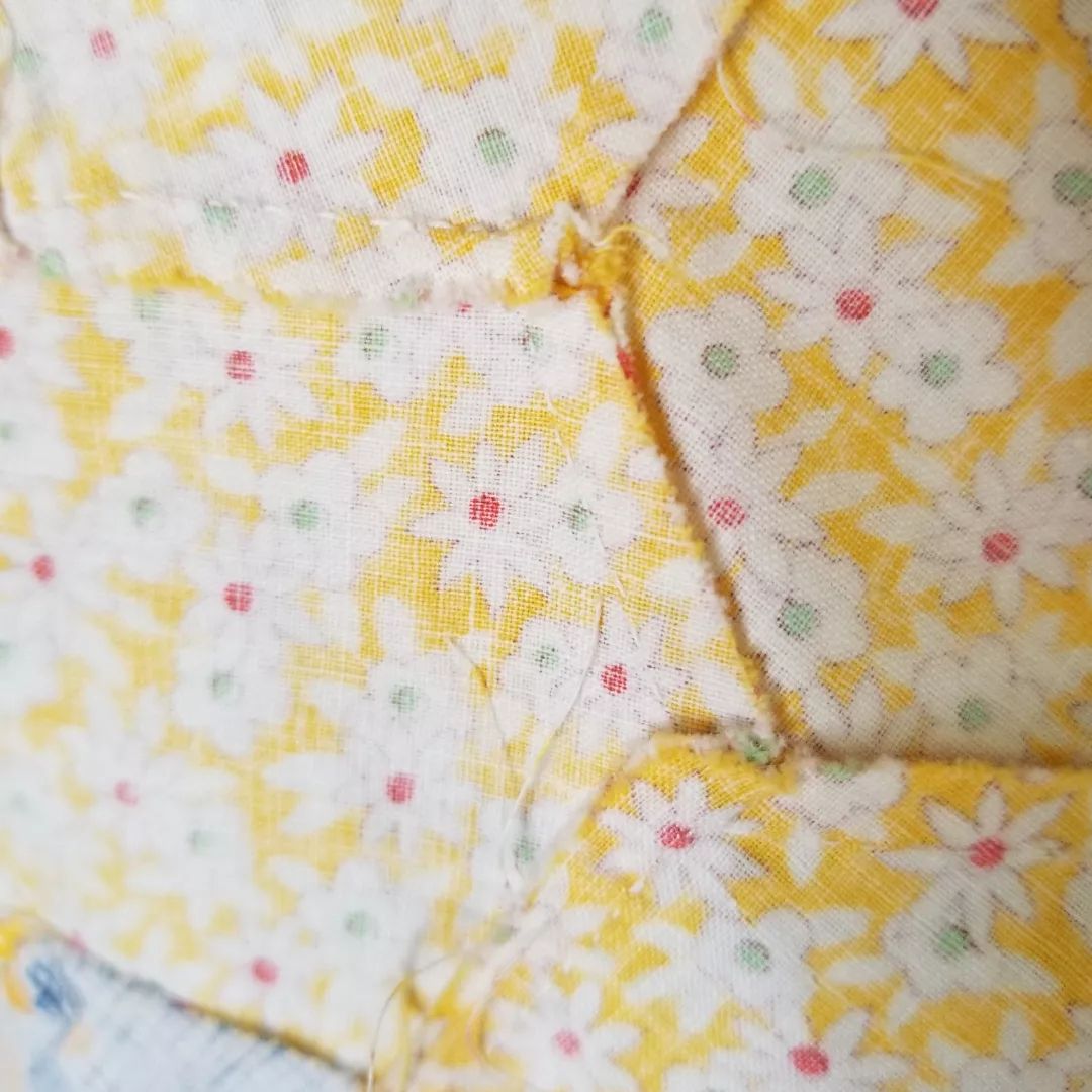 Magdalene's Garden Path Quilt TOP