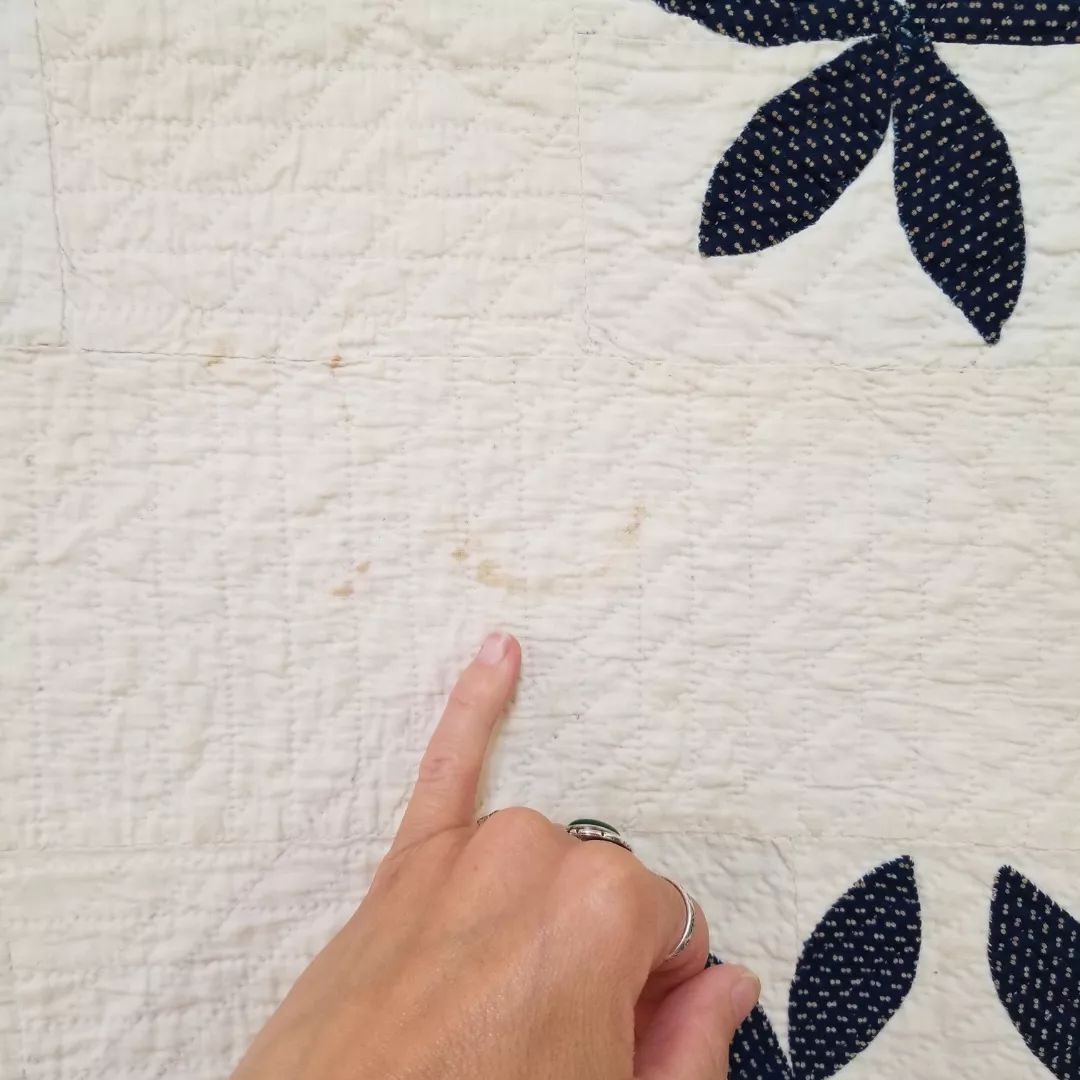 Wandering Foot Quilt