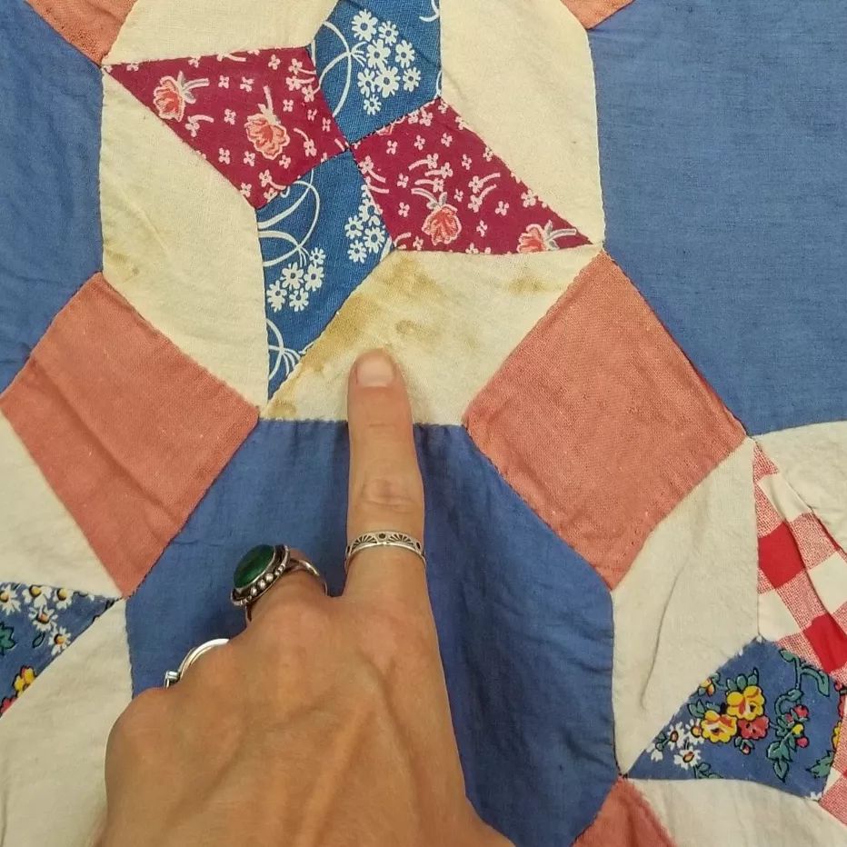 Hummingbird Quilt Top