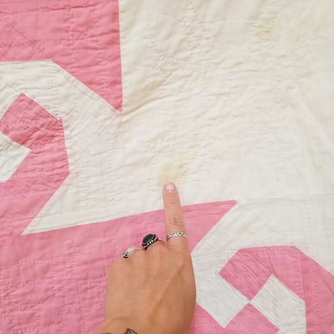Pink and White Snail Trail