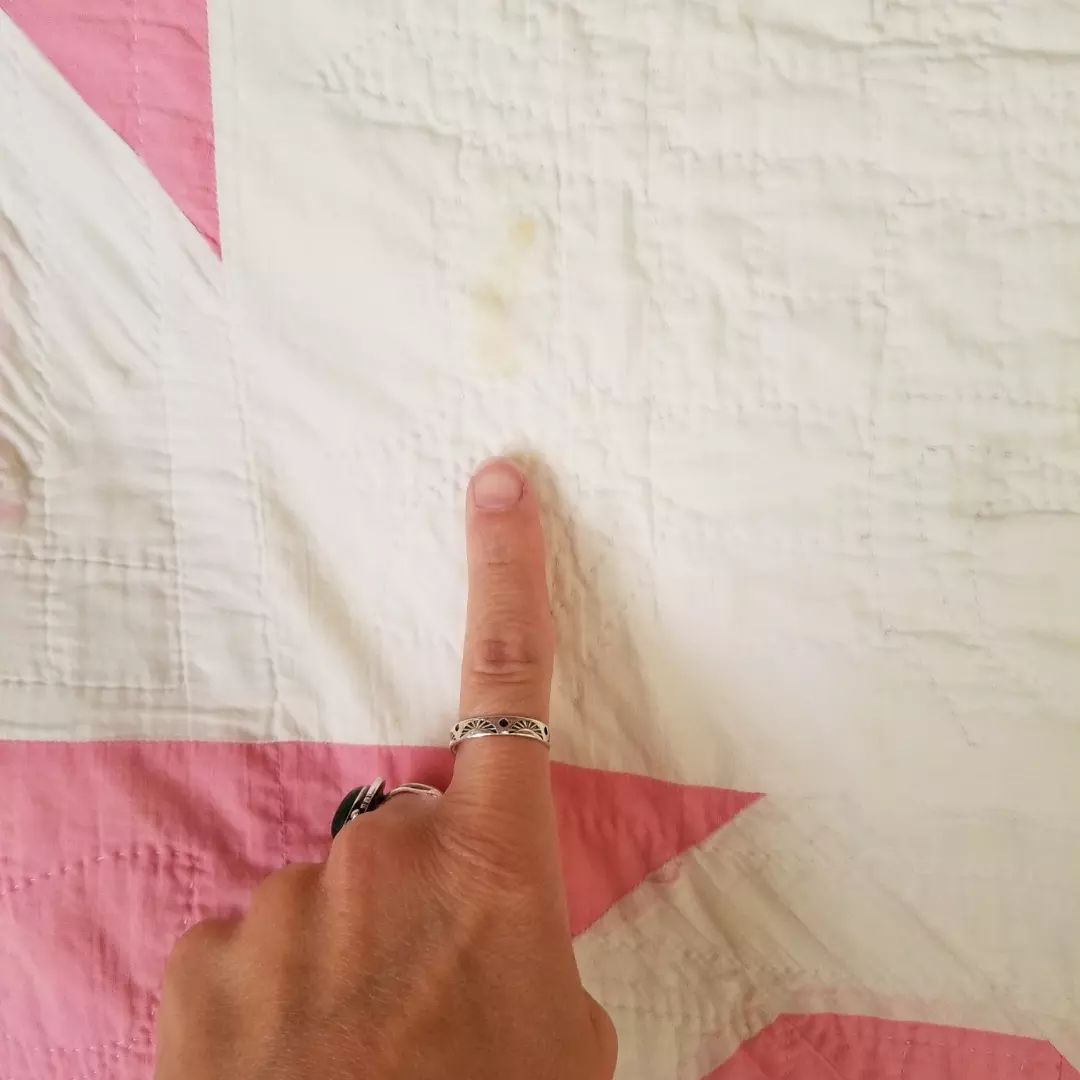 Pink and White Snail Trail