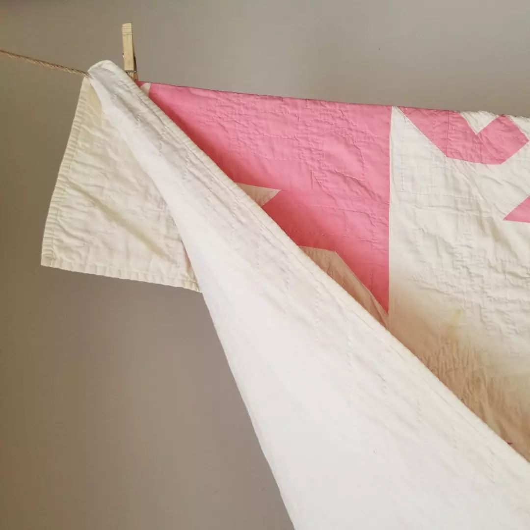 Pink and White Snail Trail