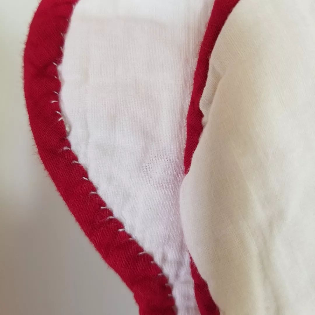 Red and White Feathered Star Quilt