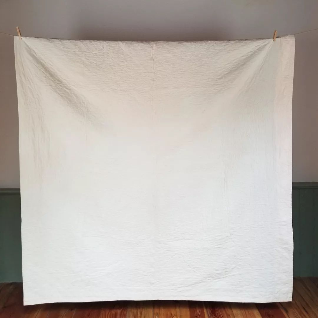 Stunning Floral Lonestar Quilt