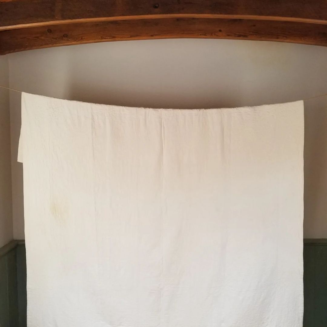 Friendship Flower, Feedsack Quilt