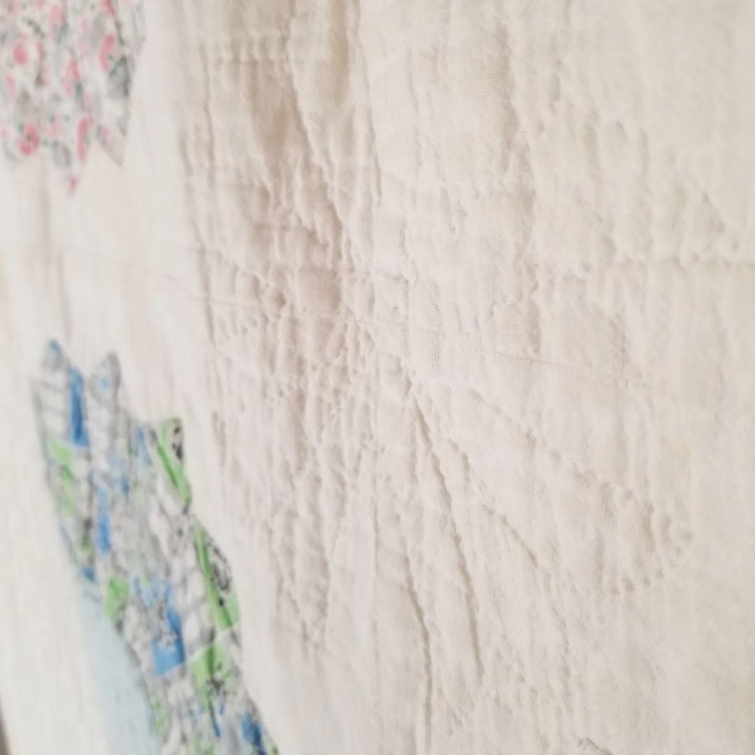 Friendship Flower, Feedsack Quilt