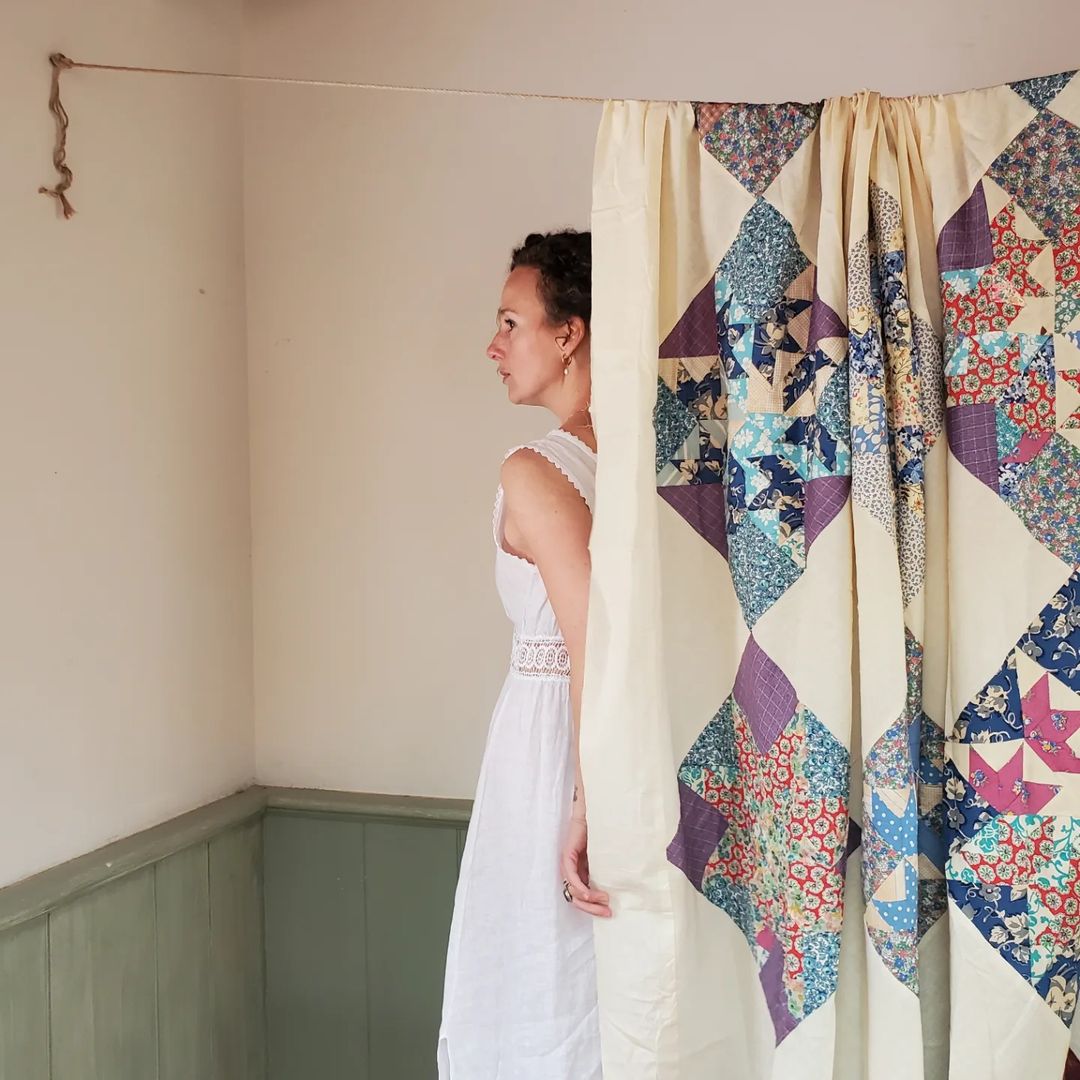 Flying Swallows Quilt Top