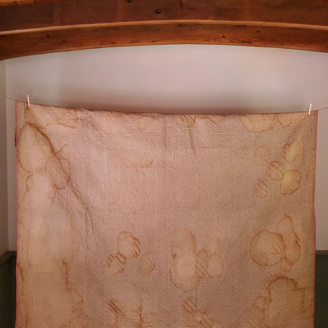 Navy and Double Pink Paw Quilt