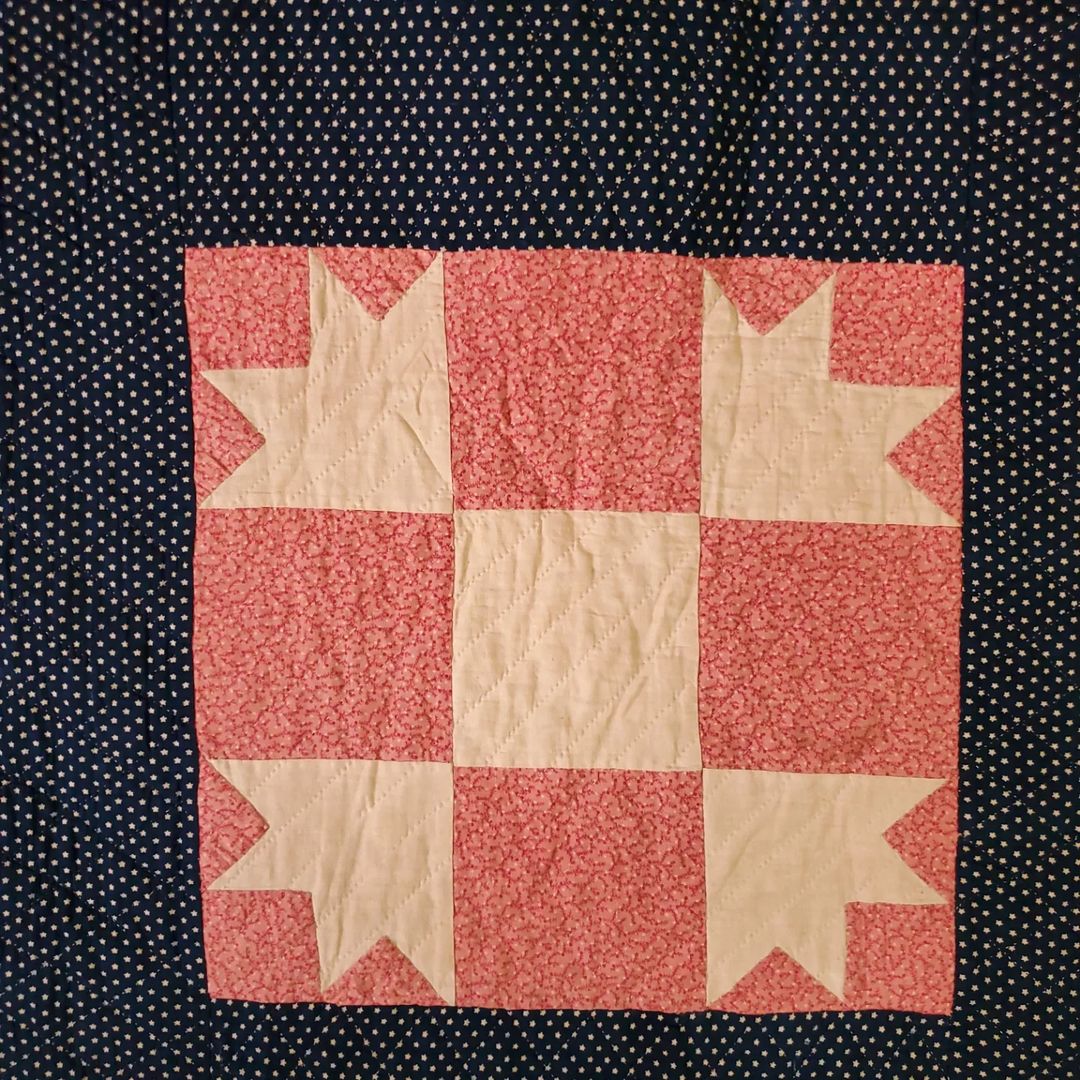 Navy and Double Pink Paw Quilt