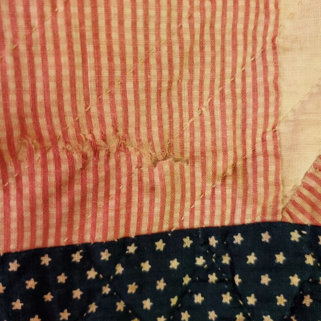 Navy and Double Pink Paw Quilt