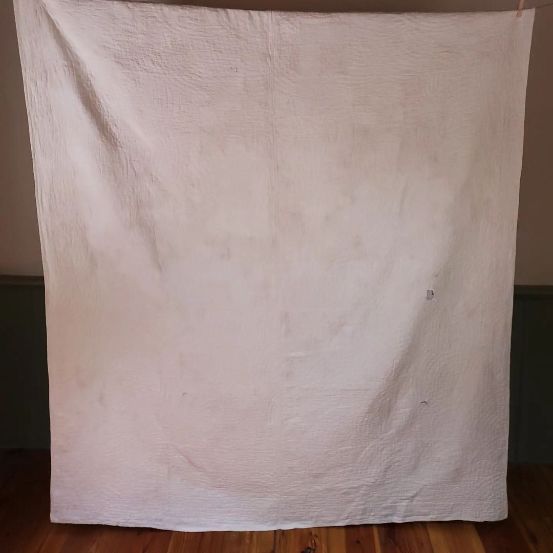 Beloved Tulip Quilt