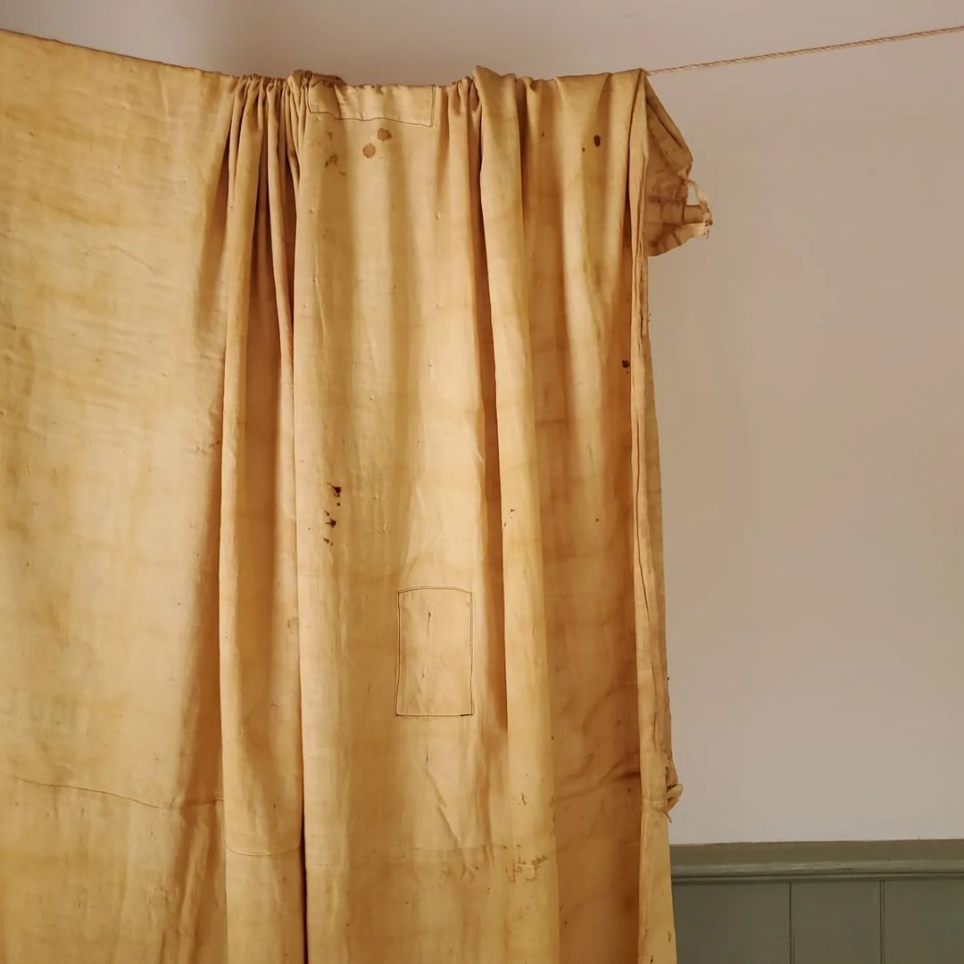 Yellow Feedsack Quilt Backing Fabric